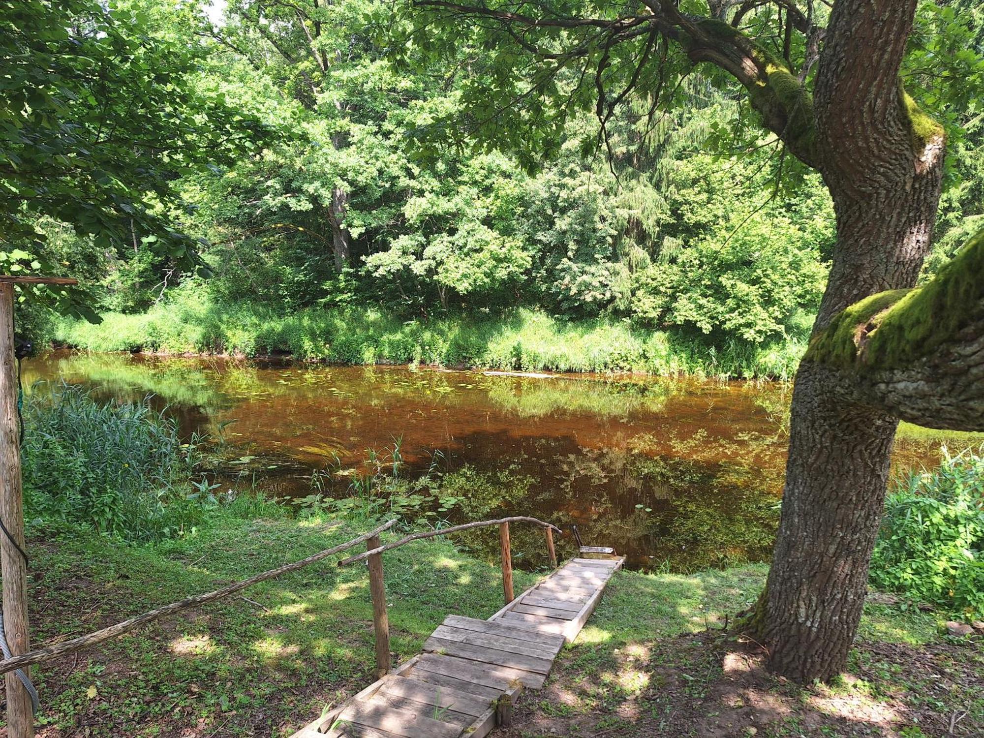 Toma Pirts Liela Villa Ikskile Bagian luar foto