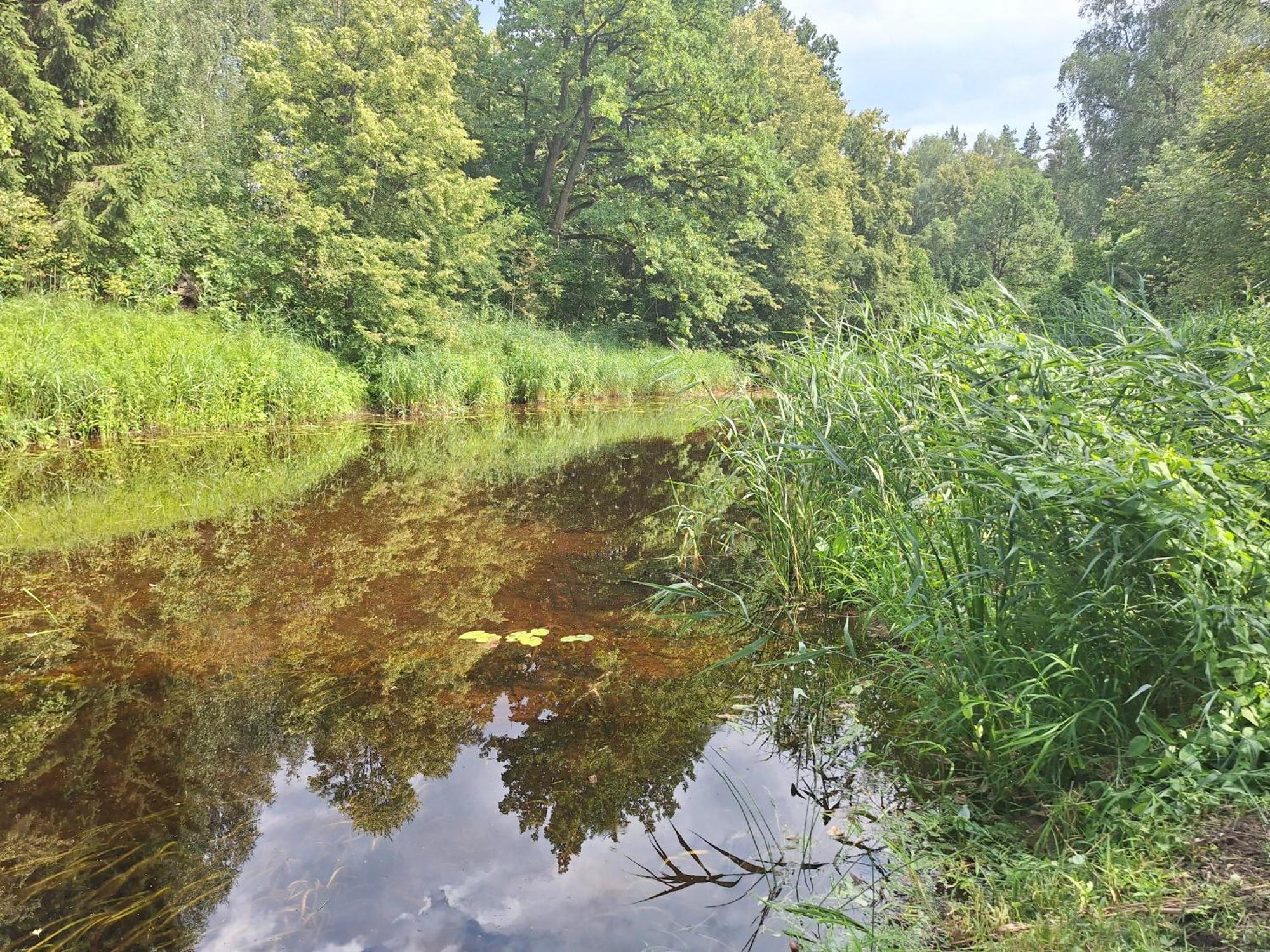 Toma Pirts Liela Villa Ikskile Bagian luar foto