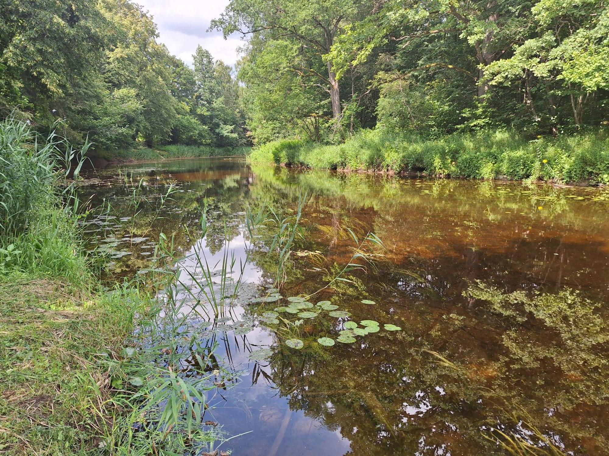 Toma Pirts Liela Villa Ikskile Bagian luar foto